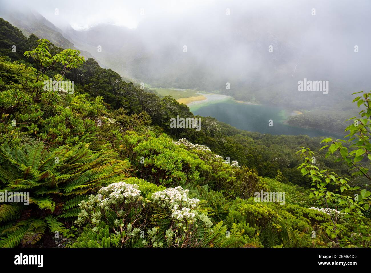 Lago Mackenzie, Routeburn Track, Nuova Zelanda Foto Stock