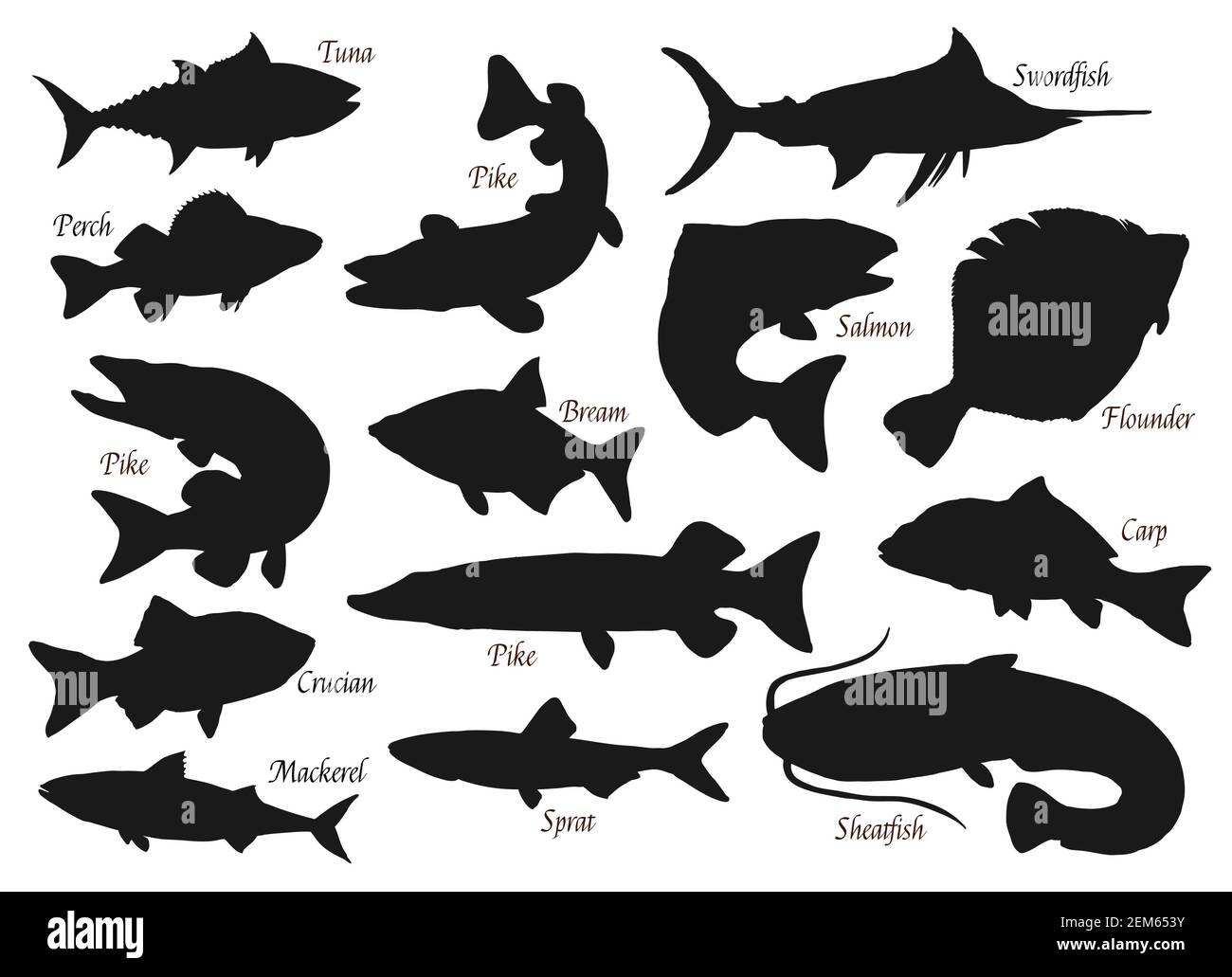 Pesci, icone vettoriali di silhouette, pesci di pesca oceani, fluviali o marini e di lago. Luccio, tonno o crogiolo, pesce spada e passera pianuzza, carpe, pesci pecora e orata, Illustrazione Vettoriale