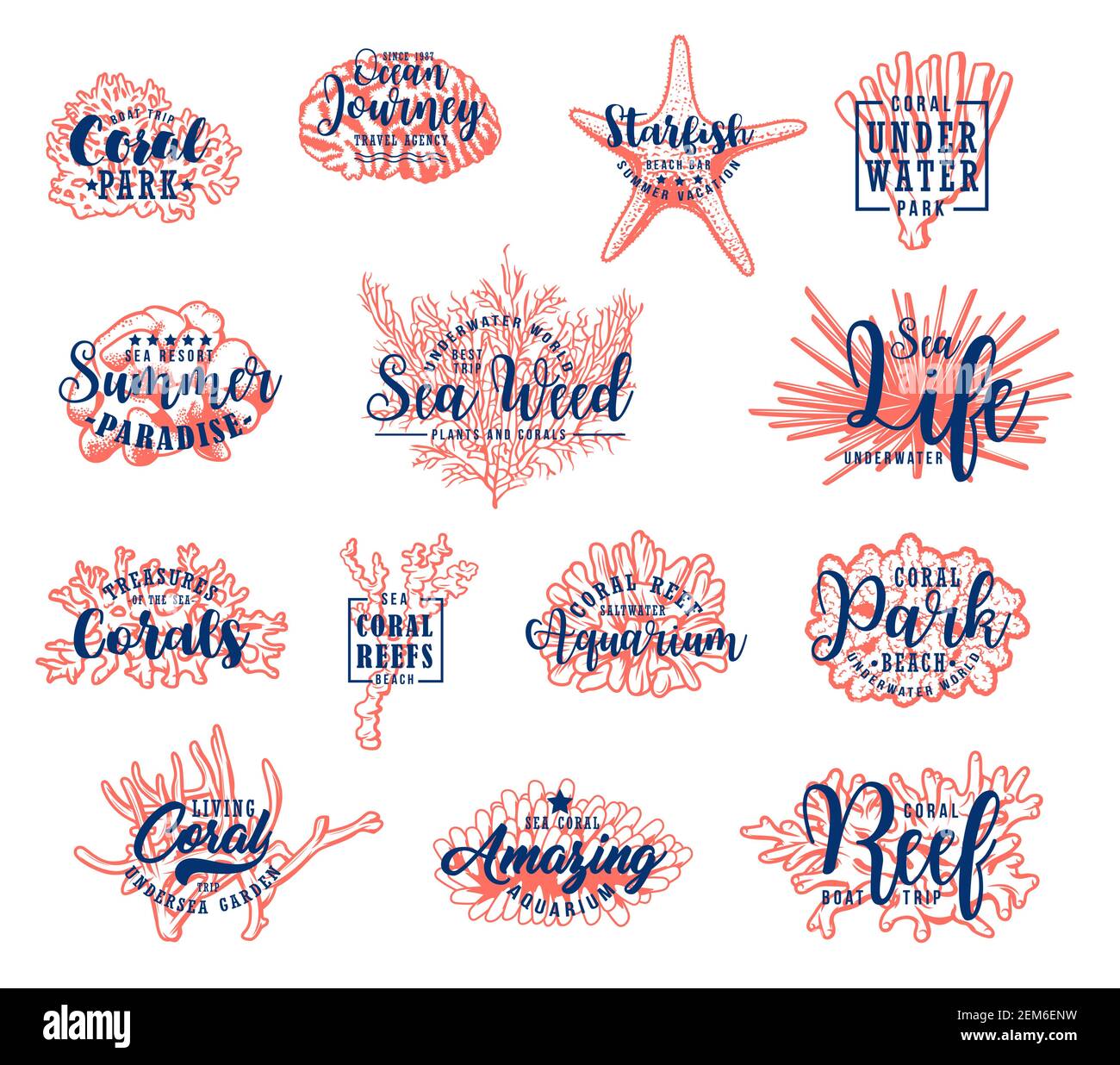 Coralli marini subacquei, stelle marine e polipi, icone di schizzo vettoriali. Summer Beach resort, viaggi in barca sull'oceano e viaggi, oceanarium disegnato a mano barriera corallina st Illustrazione Vettoriale