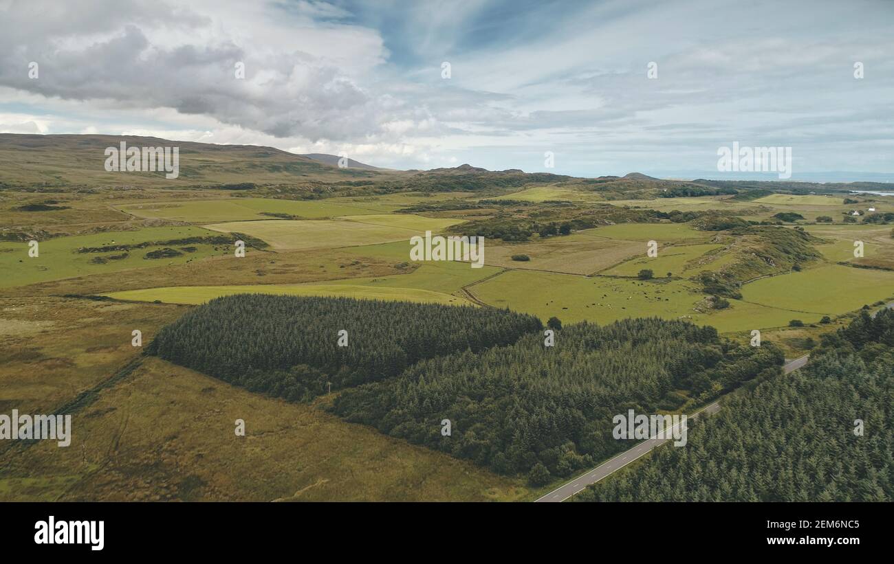 Pineta a valle verde aerea. Nessuno paesaggio naturale. Splendidi alberi verdi in campagna. Terreni agricoli rurali su strada. Port Town Ellen, Islay Island, Regno Unito, Europa. Scatto con drone cinematografico Foto Stock