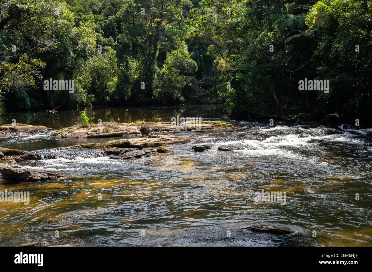 Vista delle splendide acque cristalline del fiume Paraibuna che scorre tra e intorno alle formazioni rocciose della foresta Serra do Mar (Sea Ridge). Foto Stock