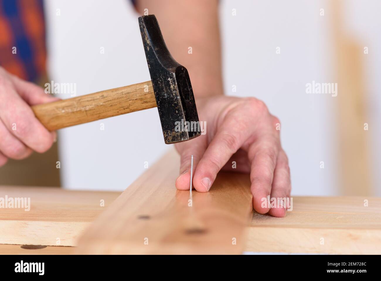 Primo piano dal martellare un chiodo in una tavola di legno. Foto di alta qualità. Foto Stock