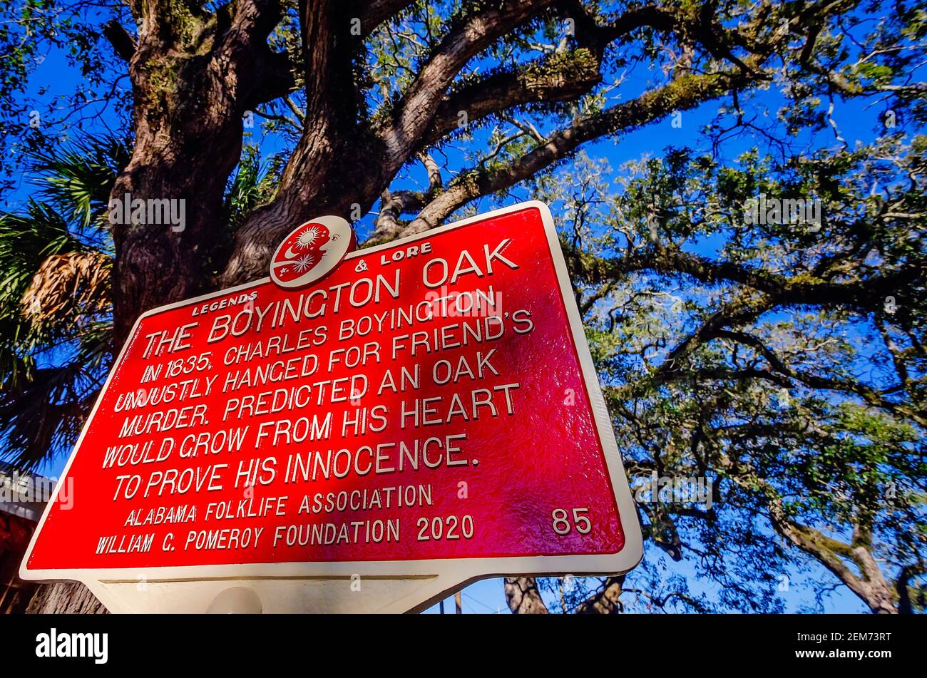 Un marcatore storico si trova di fronte alla Boyington Oak, 19 febbraio 2021, a Mobile, Alabama. Foto Stock