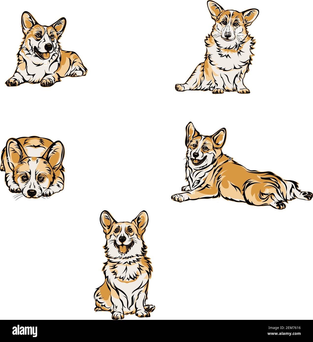 Cane, corgi, pose varie, movimenti e scorciatelle di figure, nero, colori Illustrazione Vettoriale