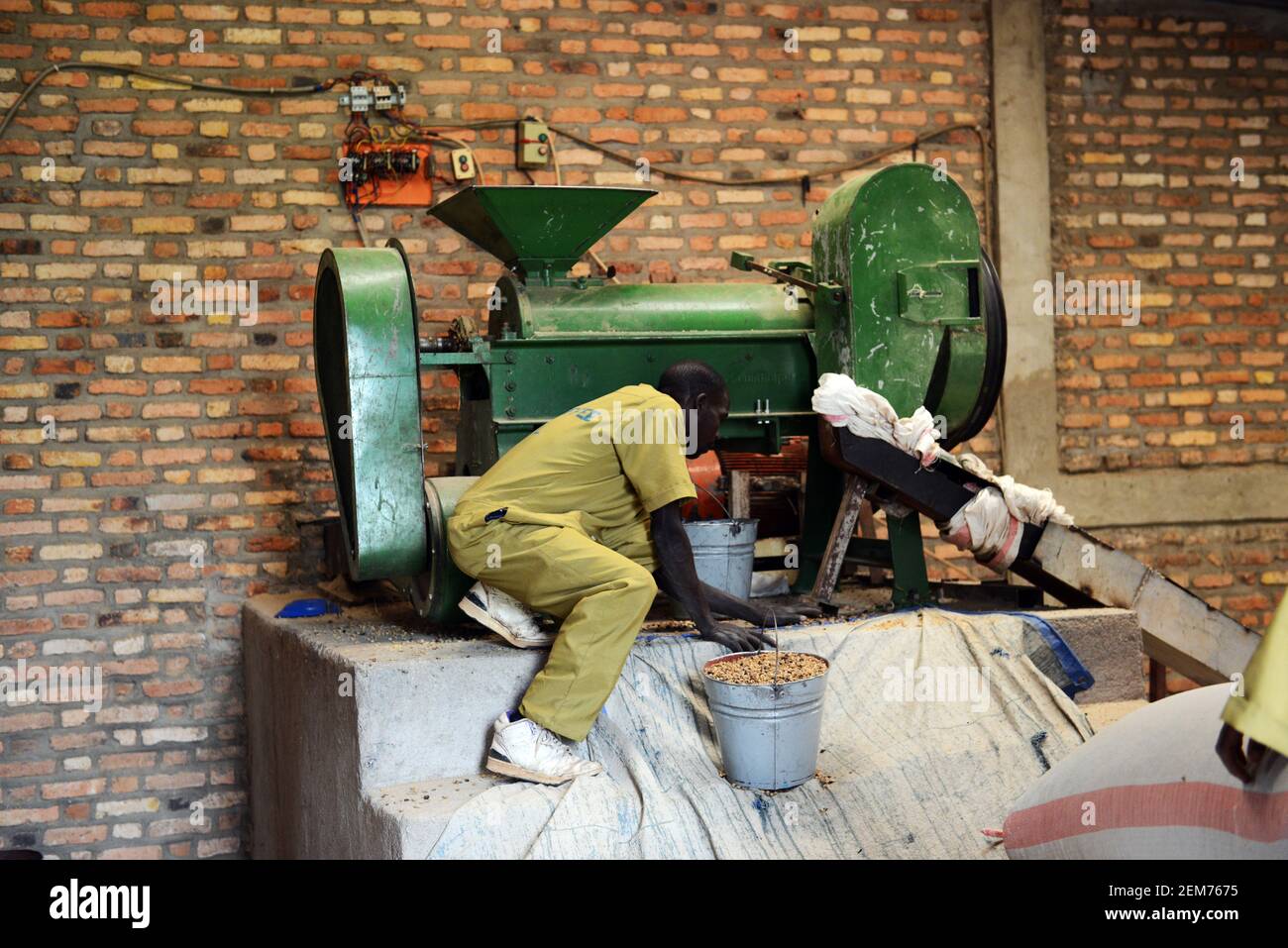 Lavoratori ruandesi che utilizzano macchinari per la selezione del caffè nella regione del caffè Huye in Ruanda. Foto Stock