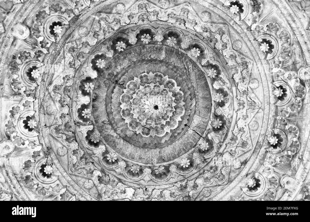 Vista ravvicinata dei dettagli architettonici dell'intaglio in marmo di un indiano Soffitto del tempio di Jain Foto Stock