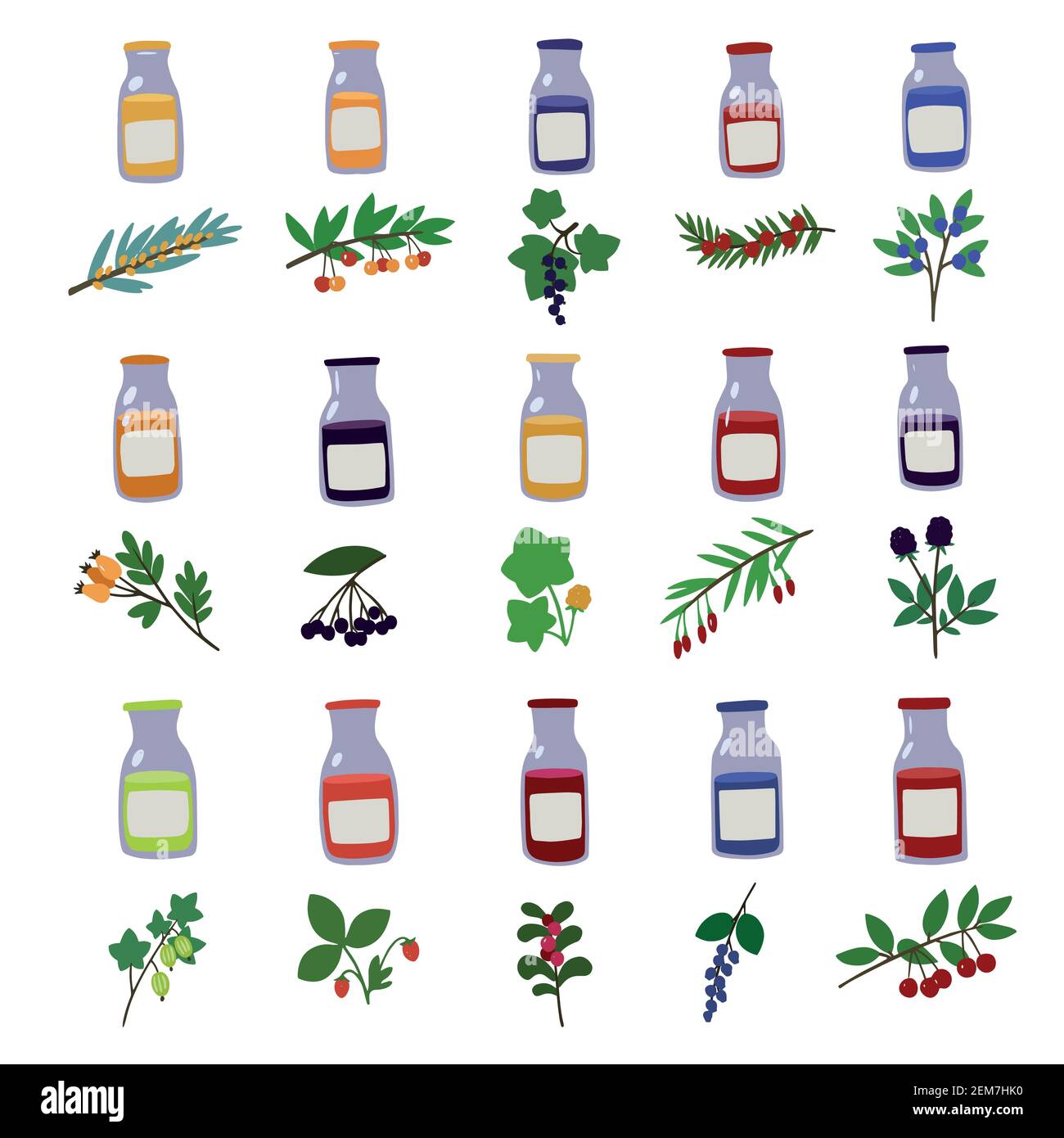 Set con rametti di barattoli di frutti di bosco e bottiglie di succo disegnati a mano. Illustrazione Vettoriale