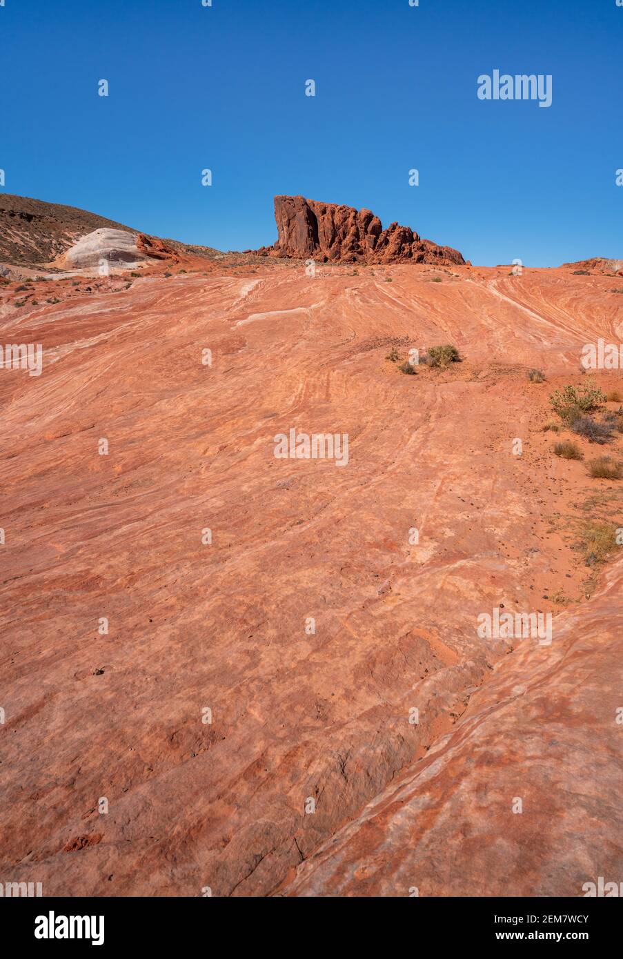La Valle del Fuoco Nevada Foto Stock