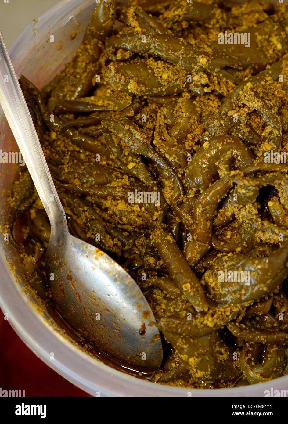 Vista ravvicinata del cibo di strada indiano tradizionale sottaceti Green Chili Foto Stock