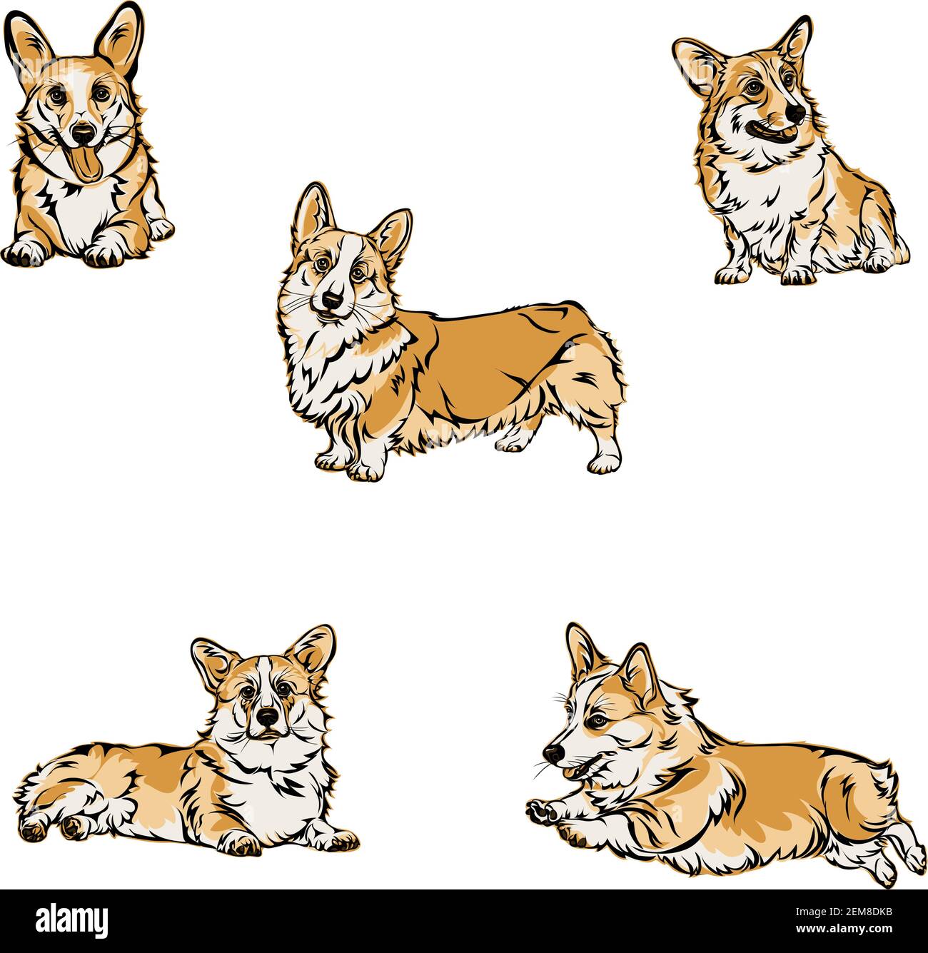 Cane, corgi, pose varie, movimenti e scorciatelle di figure, nero, colori Illustrazione Vettoriale