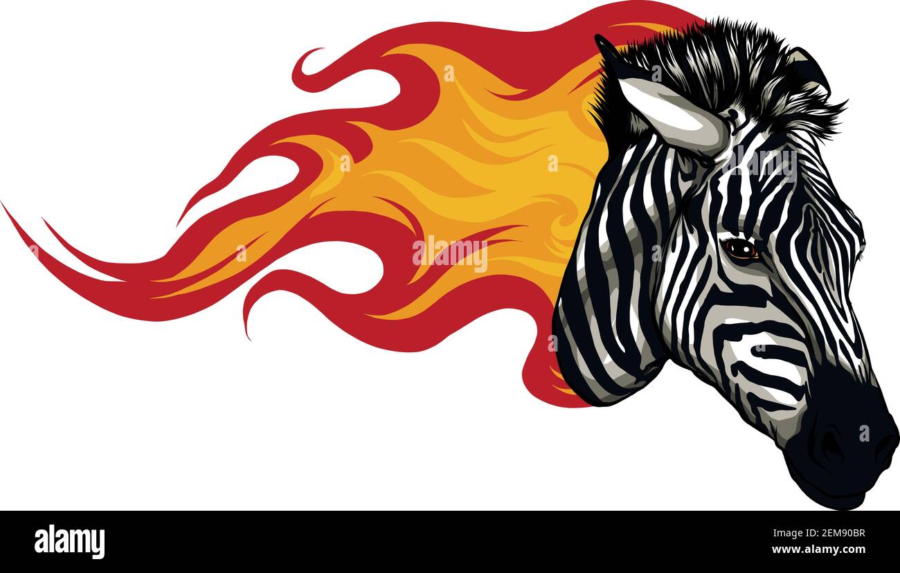 Testa zebra con fiamme disegno vettoriale Illustrazione Vettoriale