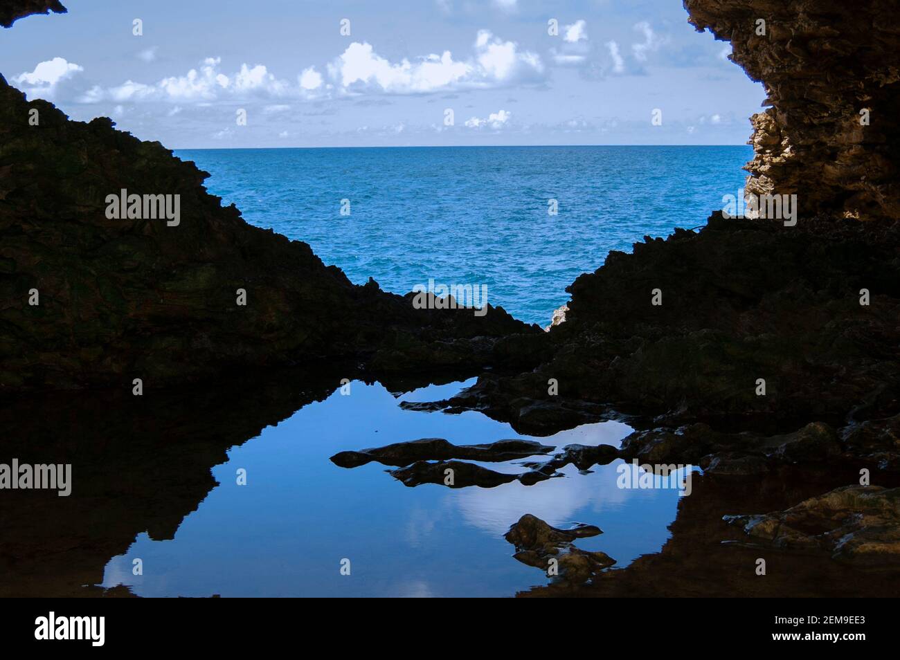 Barbados animali fiore grotta - vista oceano. Un luogo turistico e di viaggio caraibico desiderato che è anche ricercato per film e video musicali. Foto Stock