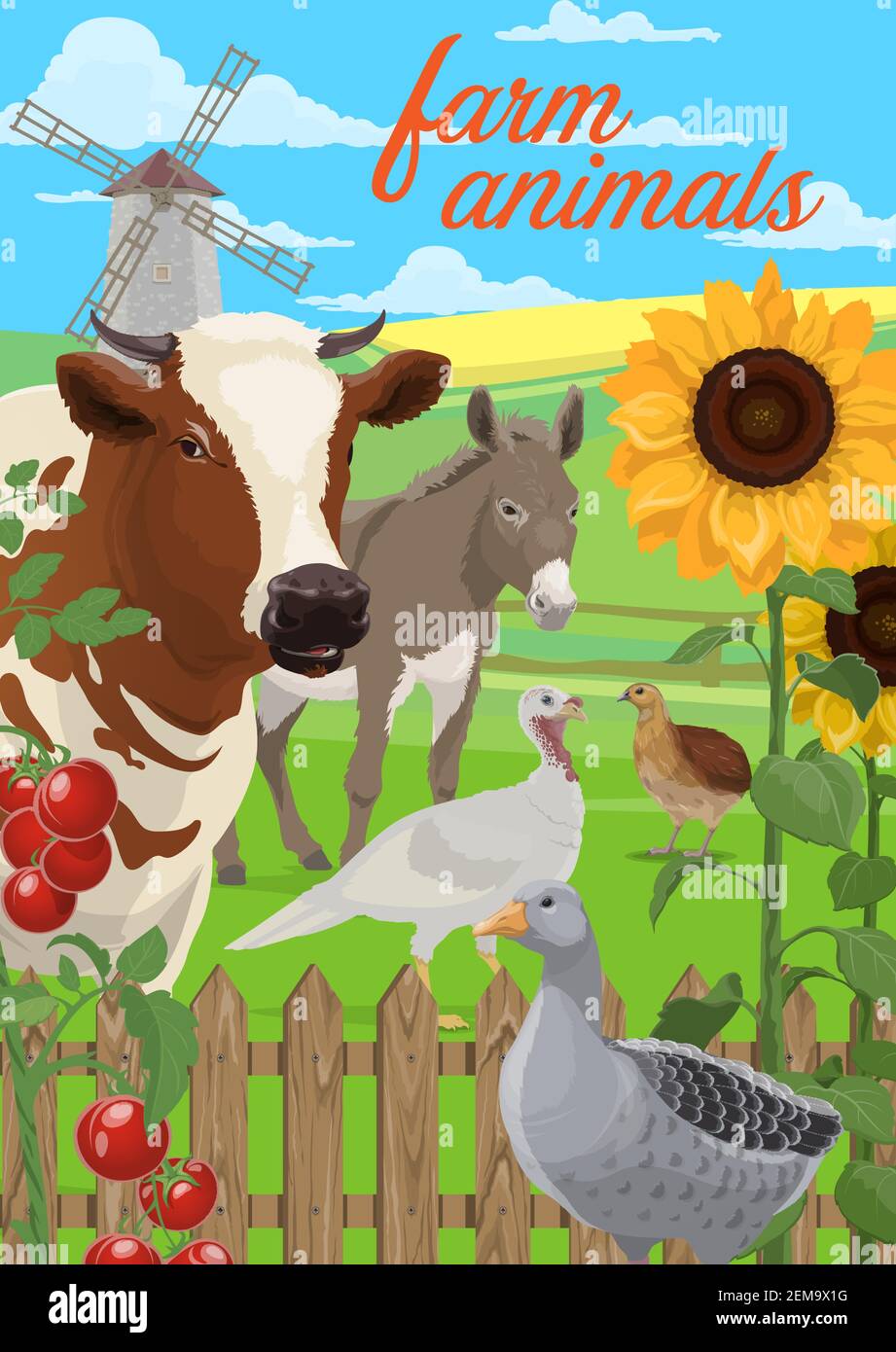 Disegno vettoriale di animali e verdure di fattoria. Cartellone agricolo e agricolo di campo agricolo e cortile con mucca, oca e quaglia, turchia e asino, tomat Illustrazione Vettoriale