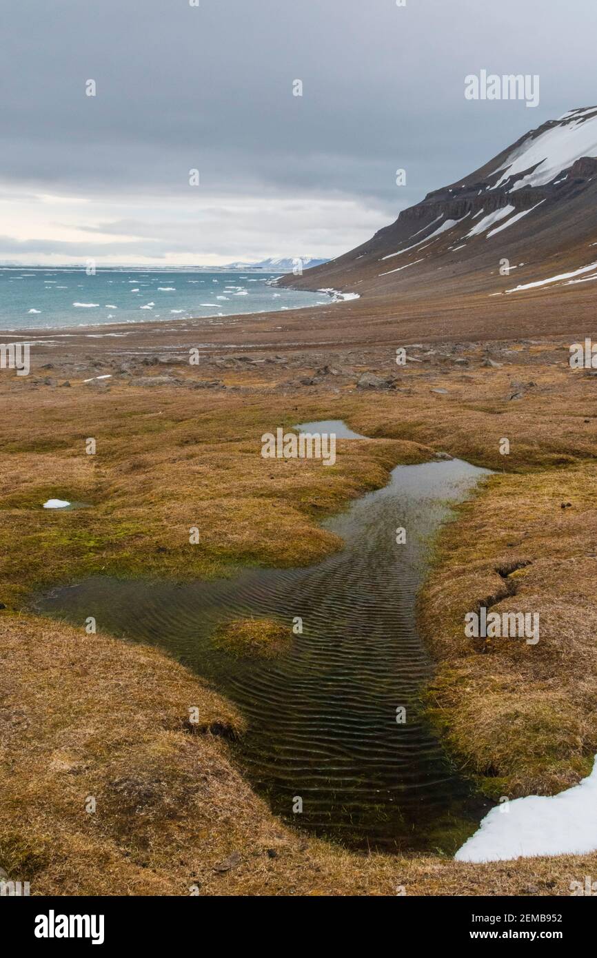 Isola di Edgeoya, isole Svalbard. Foto Stock