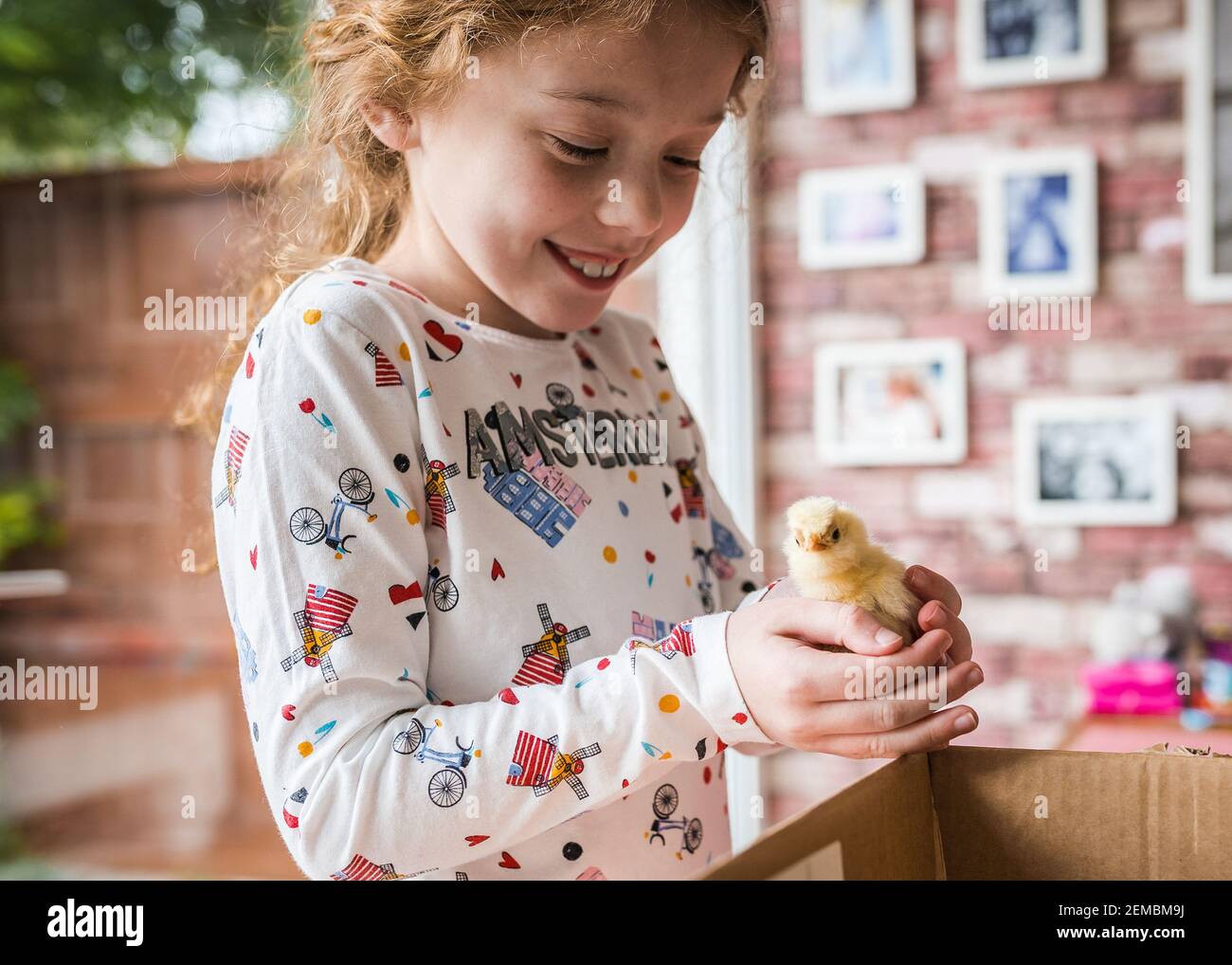 Giovane ragazza felice tenendo un nuovo bambino giallo peloso carino pulcino adorabile appena schiusa a casa in incubatore lei è eccitato e pollo guardando la macchina fotografica Foto Stock