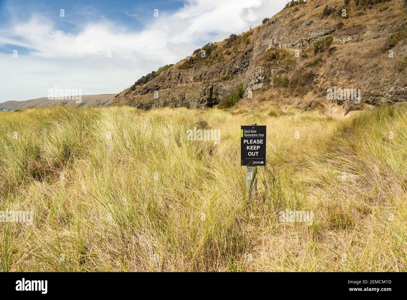 Area di restauro delle dune di sabbia a Okains Bay Banks insula Sud Isola Nuova Zelanda Foto Stock