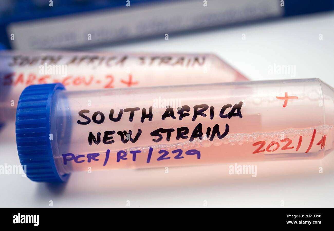 Diverse fiale positive per l'infezione da covid-19 della nuova variante in Sud africa, immagine concettuale. Foto Stock