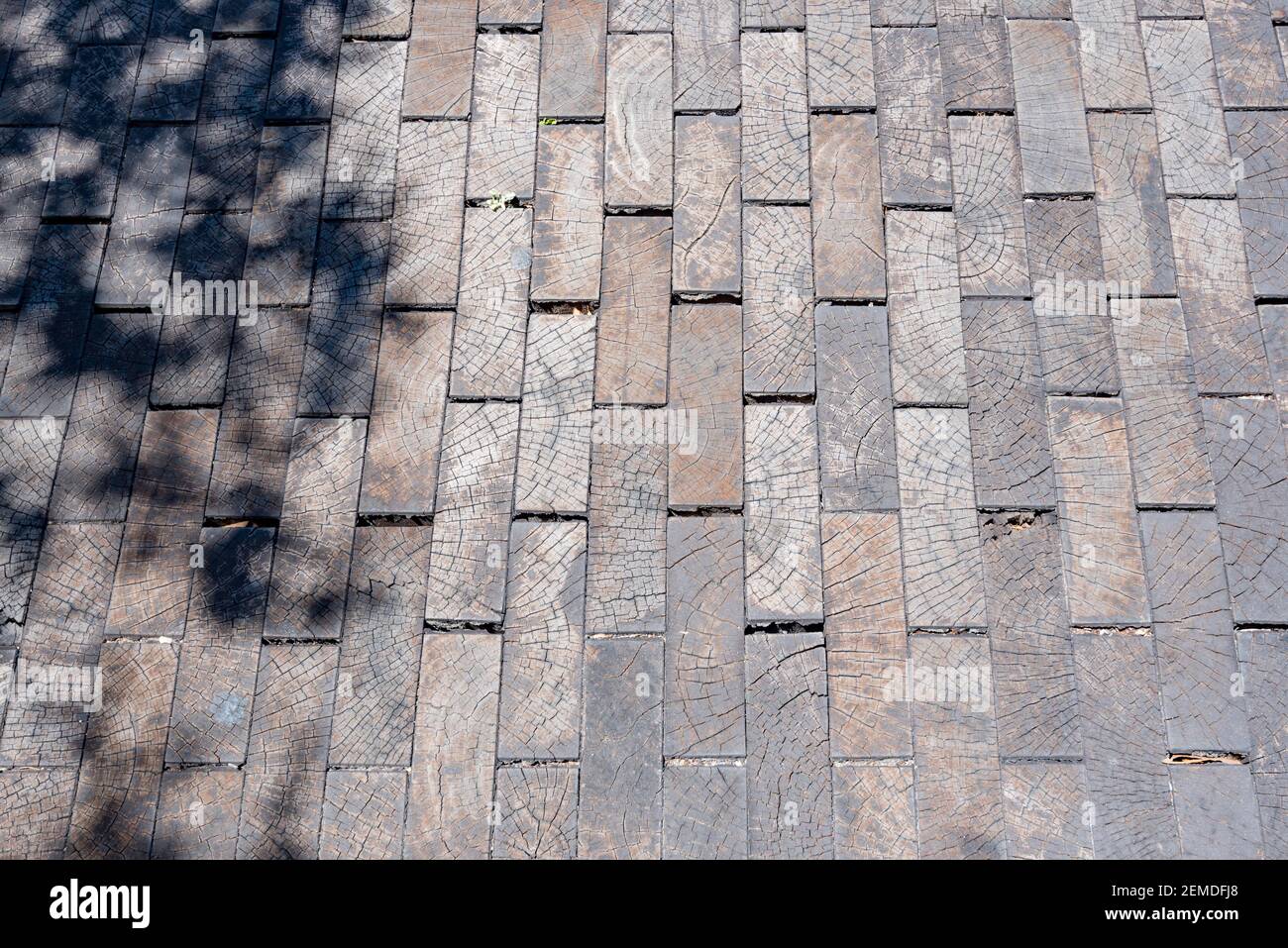 Un residuo di una storica strada in legno isolato nella storica zona di Rocks a Sydney, Australia. Blocchi di legno sono stati utilizzati a Sydney fino ai primi anni '30 Foto Stock