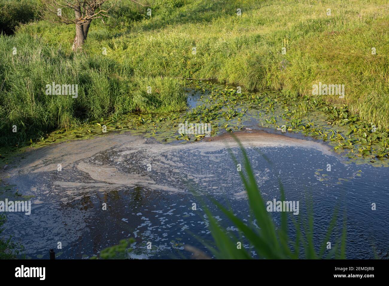 Inquinamento naturale dei serbatoi, problemi ambientali, fotografia orizzontale. Rifiuti industriali nelle acque, inquinamento ambientale Foto Stock