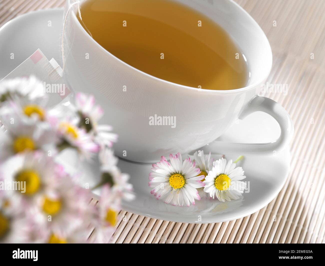 tazza di camomilla esclusione suggerimenti realese: tutti gli utilizzi realese modello: no Foto Stock