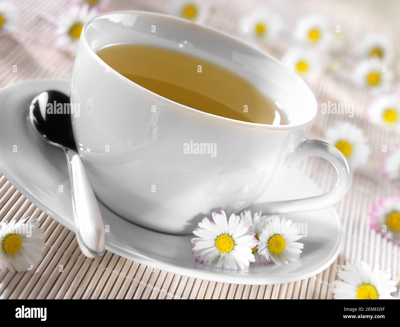 tazza di camomilla esclusione suggerimenti realese: tutti gli utilizzi realese modello: no Foto Stock