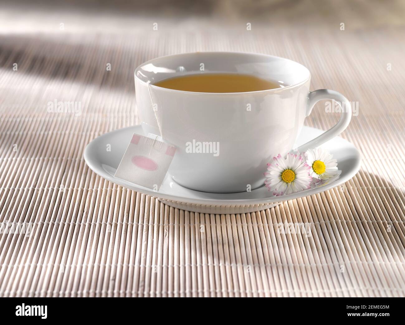 tazza di camomilla esclusione suggerimenti realese: tutti gli utilizzi realese modello: no Foto Stock