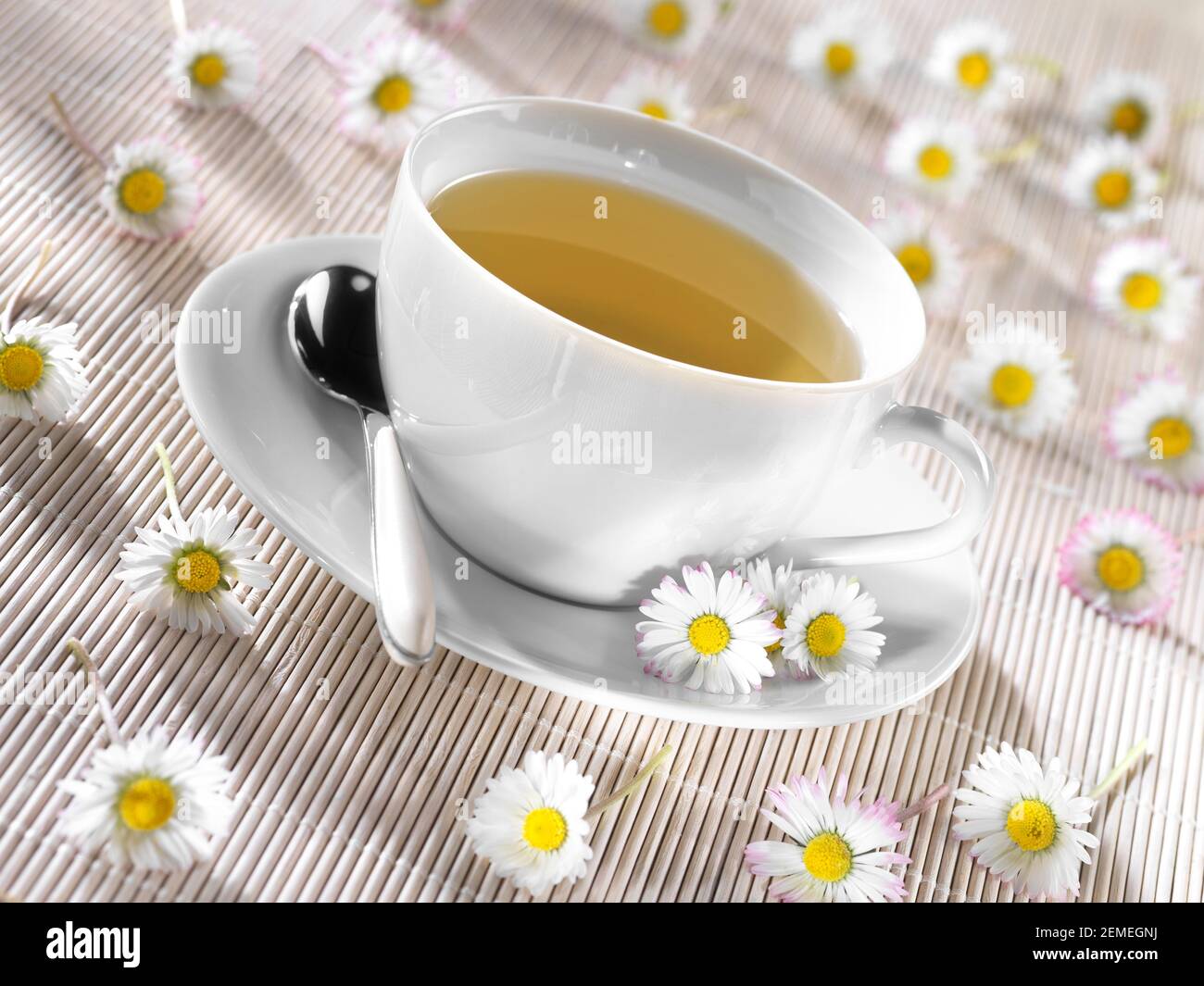 tazza di camomilla esclusione suggerimenti realese: tutti gli utilizzi realese modello: no Foto Stock