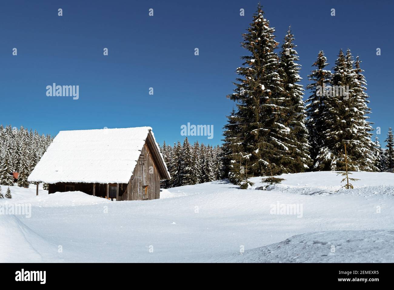 Cabina alpina in legno in un bellissimo paesaggio invernale idilliaco. Stagioni, tempo, vacanze e concetti di viaggio Foto Stock