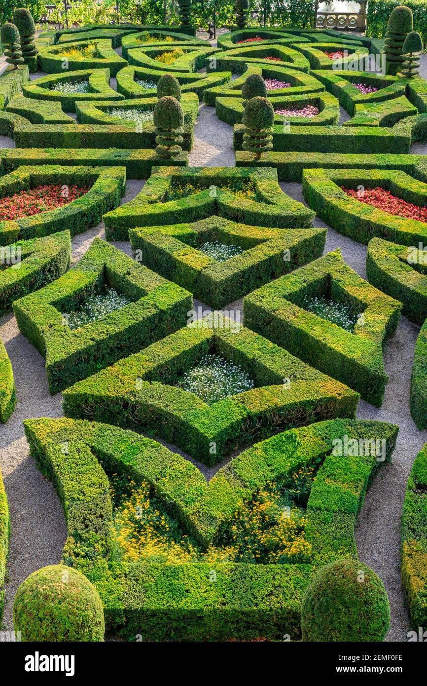 Francia, Indre et Loire, Valle della Loira dichiarata Patrimonio Mondiale dall'UNESCO, il castello e i giardini di Villandry, il giardino ornamentale con siepe a scatola Foto Stock