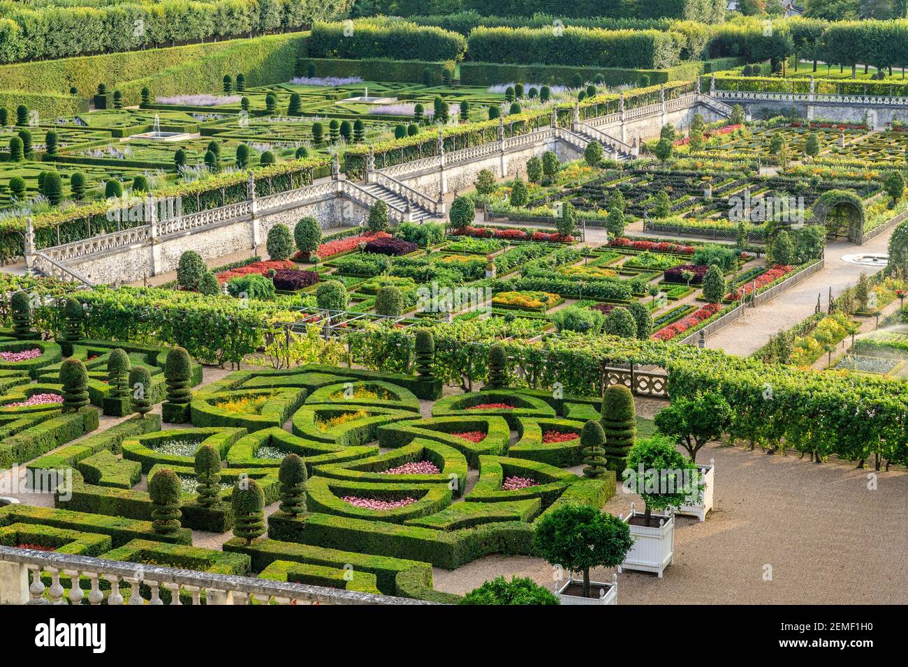 Francia, Indre et Loire, Valle della Loira dichiarata Patrimonio Mondiale dall'UNESCO, il castello e i giardini di Villandry, il giardino ornamentale con siepe a scatola Foto Stock