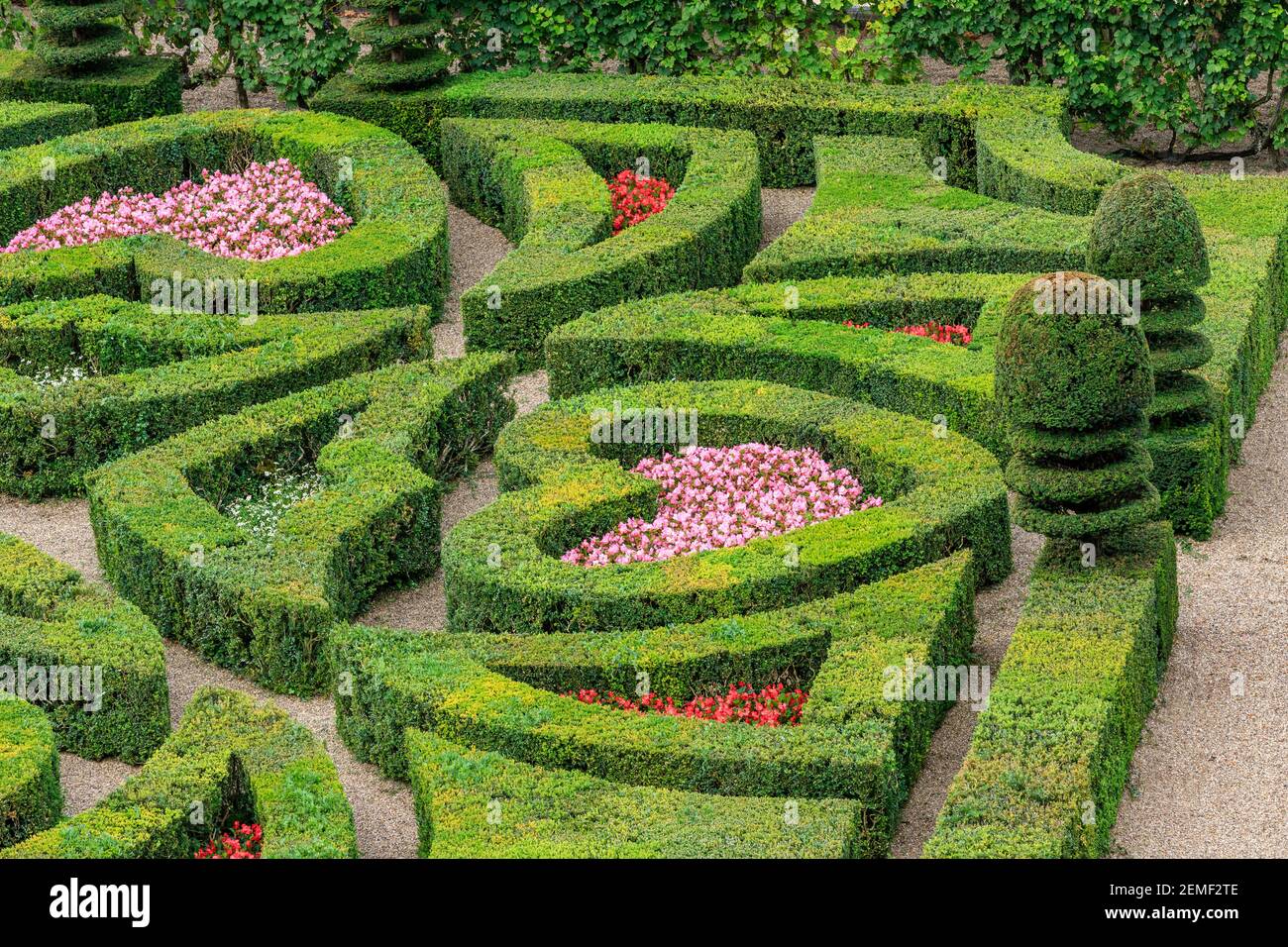 Francia, Indre et Loire, Valle della Loira dichiarata Patrimonio Mondiale dall'UNESCO, il castello e i giardini di Villandry, il giardino ornamentale con siepe a scatola Foto Stock
