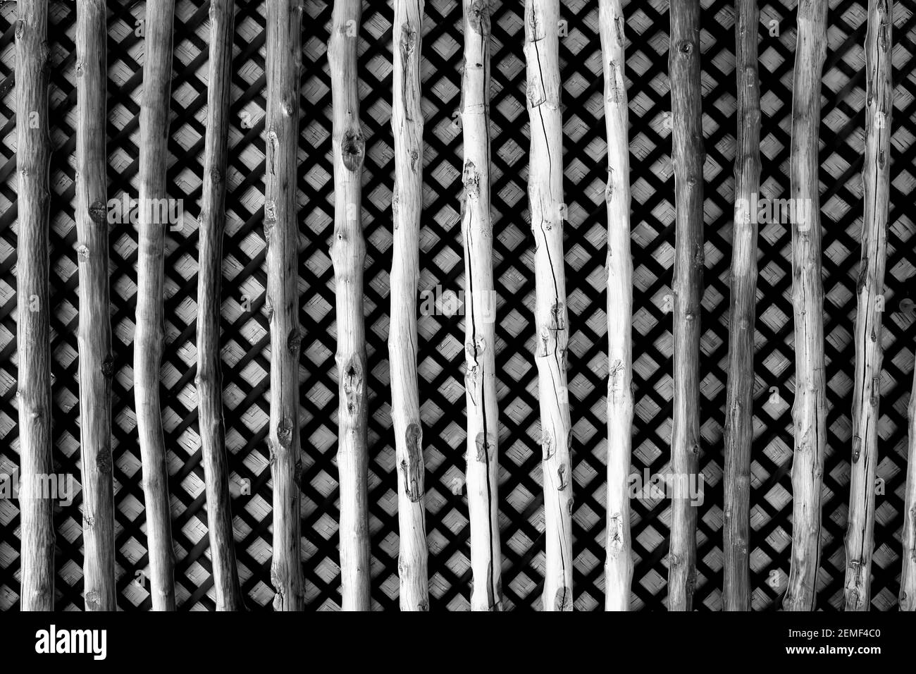 Monocromo, bianco e nero, immagine di un soffitto fatto di travi di tronco di palma con fronde di palma intrecciate, Khalaf House, Manama, Regno del Bahrain Foto Stock