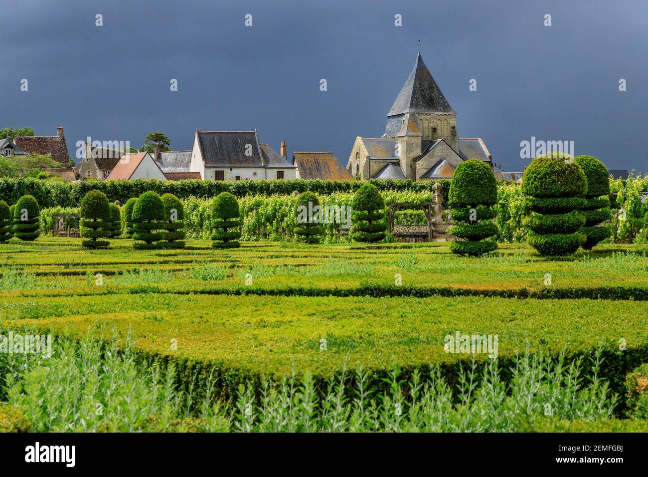 Francia, Indre et Loire, Valle della Loira Patrimonio Mondiale dell'UNESCO, il castello e i giardini di Villandry, il giardino ornamentale con tasso e b Foto Stock