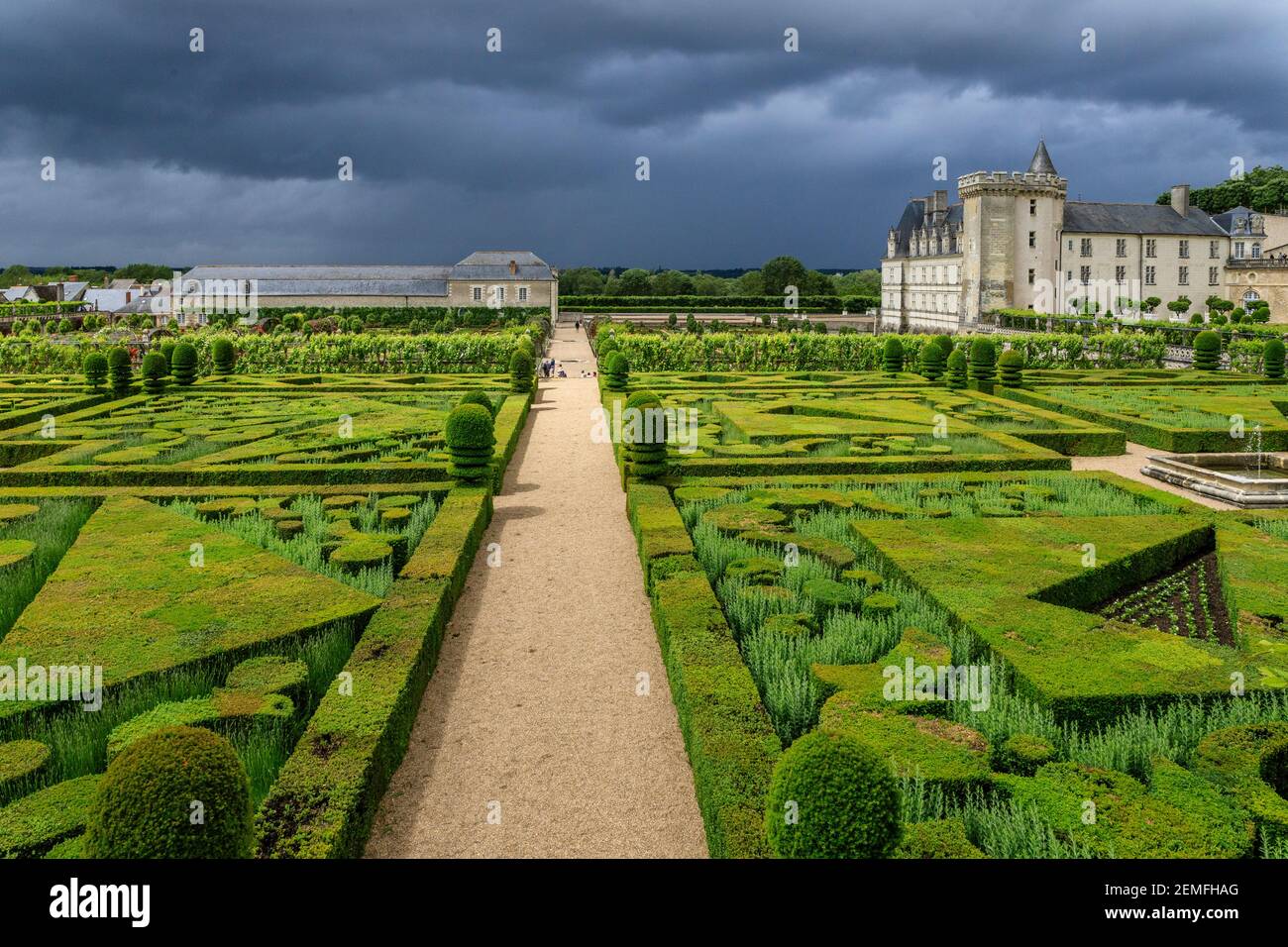 Francia, Indre et Loire, Valle della Loira Patrimonio Mondiale dell'UNESCO, il castello e i giardini di Villandry, il giardino ornamentale con tasso e b Foto Stock
