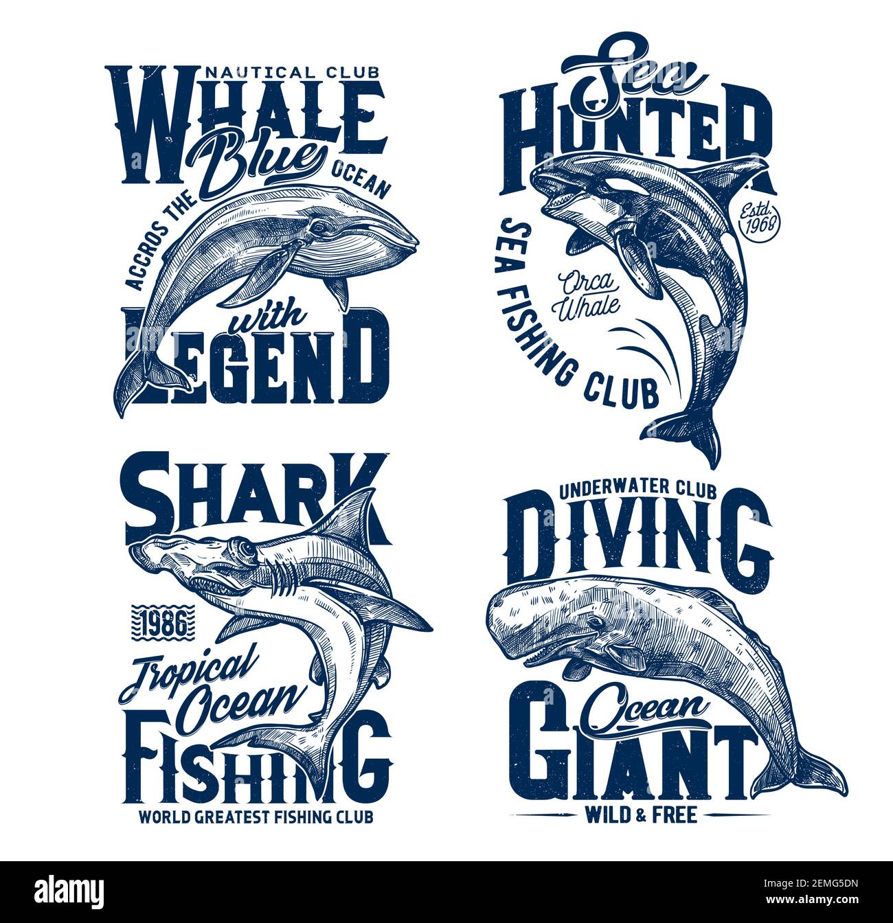 TShirt stampa con squalo di testa hummer, balene killer e blu, mascotte vettoriali per la pesca, immersioni o club marino. Animali predatori di mare, avventura oceanica Illustrazione Vettoriale