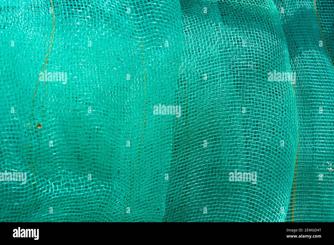 Mesh verde. Sfondo tessile verde. Foto Stock