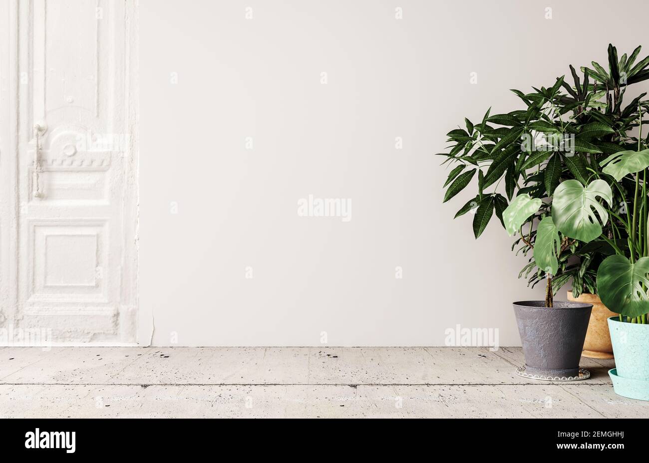 Interni in bianco mock-up con vecchie porte rustiche e una varietà di piante decorative in vaso casa 3D rendering, illustrazione 3D Foto Stock