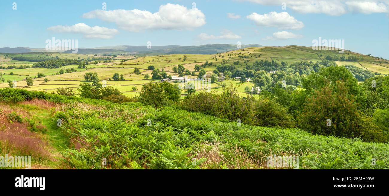 Paesaggio presso il Lake District, Cumbria, Inghilterra nord-occidentale, visto dal punto di osservazione di Orrest Head Foto Stock