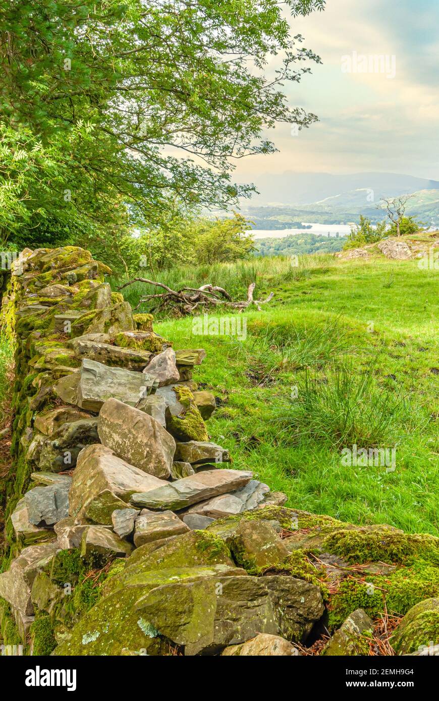 Muro di pietra a secco in un paesaggio al Lake District National Park, Cumbria, Inghilterra, Regno Unito Foto Stock