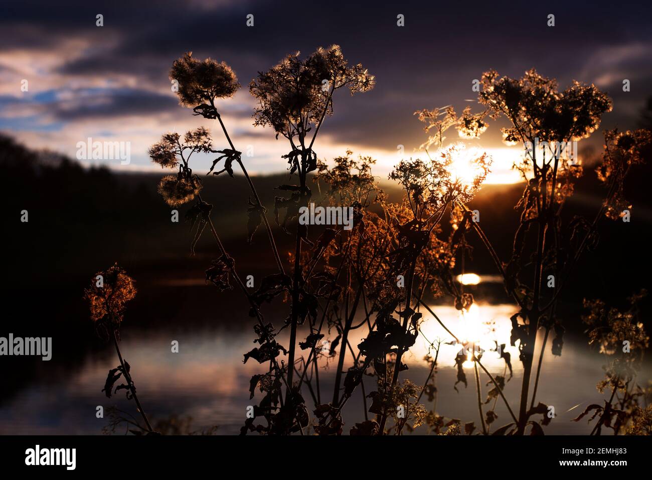 Sera d'estate sul lago Foto Stock