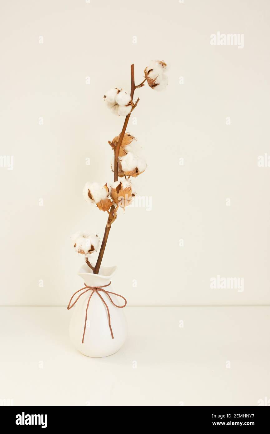 Alta composizione chiave con un vaso bianco e un ramo di cotone. Concetto di minimalismo. Design degli interni, stile scandinavo. Foto di alta qualità Foto Stock