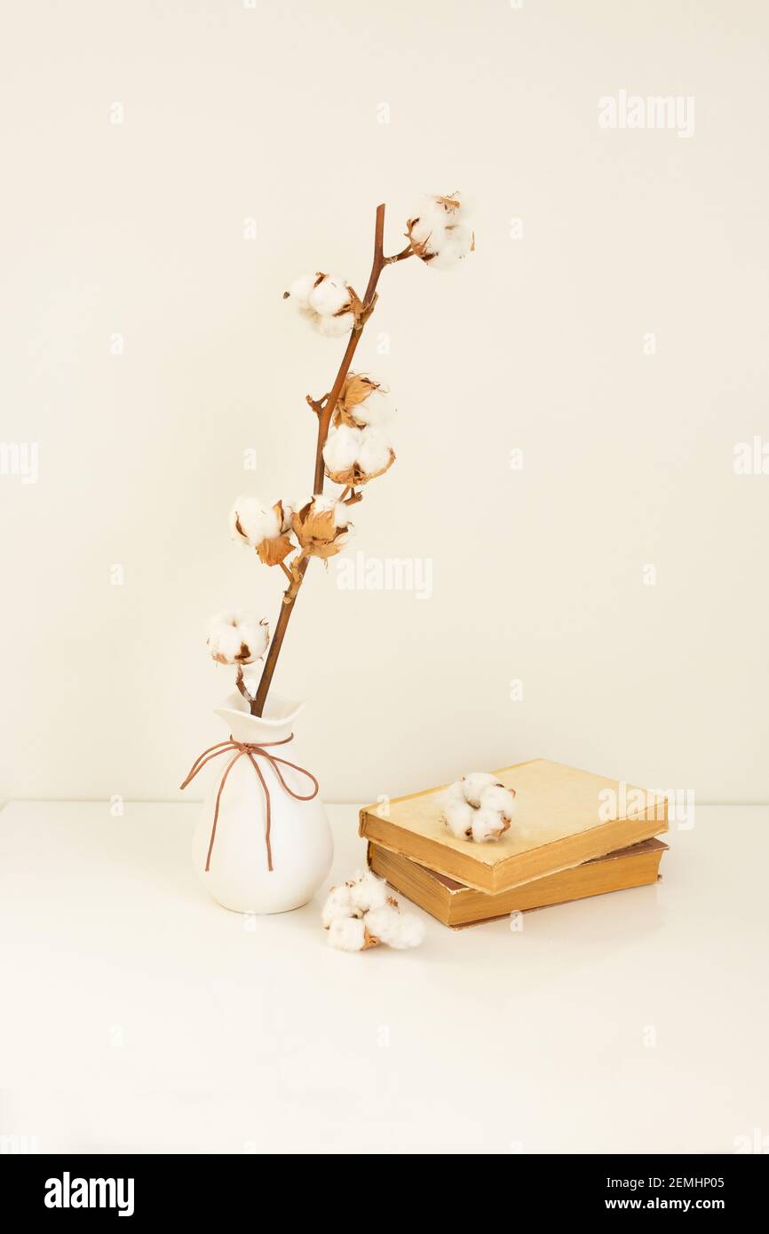 Alta composizione chiave con un vaso bianco e un ramo di cotone. Concetto di minimalismo. Design degli interni, stile scandinavo. Foto di alta qualità Foto Stock