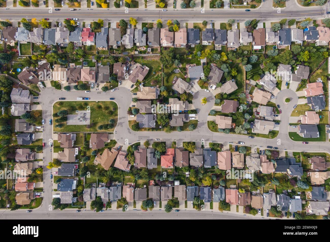 Vista aerea dall'alto verso il basso di case e strade nello splendido quartiere residenziale durante la stagione autunnale a Calgary, Alberta, Canada. Foto Stock