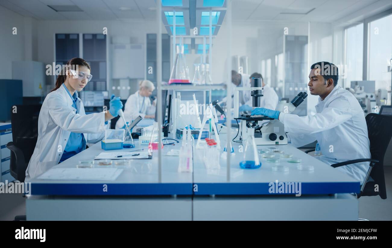 Modern Medical Research Laboratory: Team di scienziati che lavorano con le pipette, analizzando i campioni di bioprodotti chimici, parlando. Laboratorio scientifico per Foto Stock
