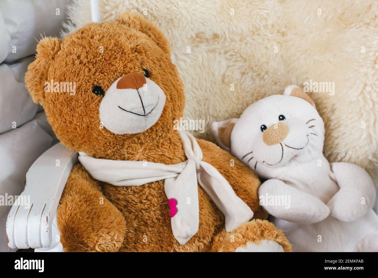Animali peluche imbottiti: Orsacchiotto e gatto Foto Stock