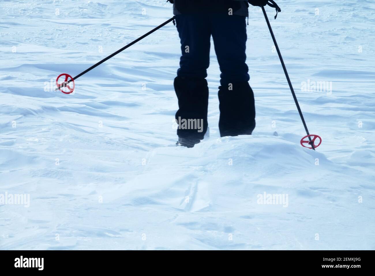 Le gambe e gli sci dello sciatore (posizione posteriore). Sciatore turistico su un percorso a lunga distanza Foto Stock