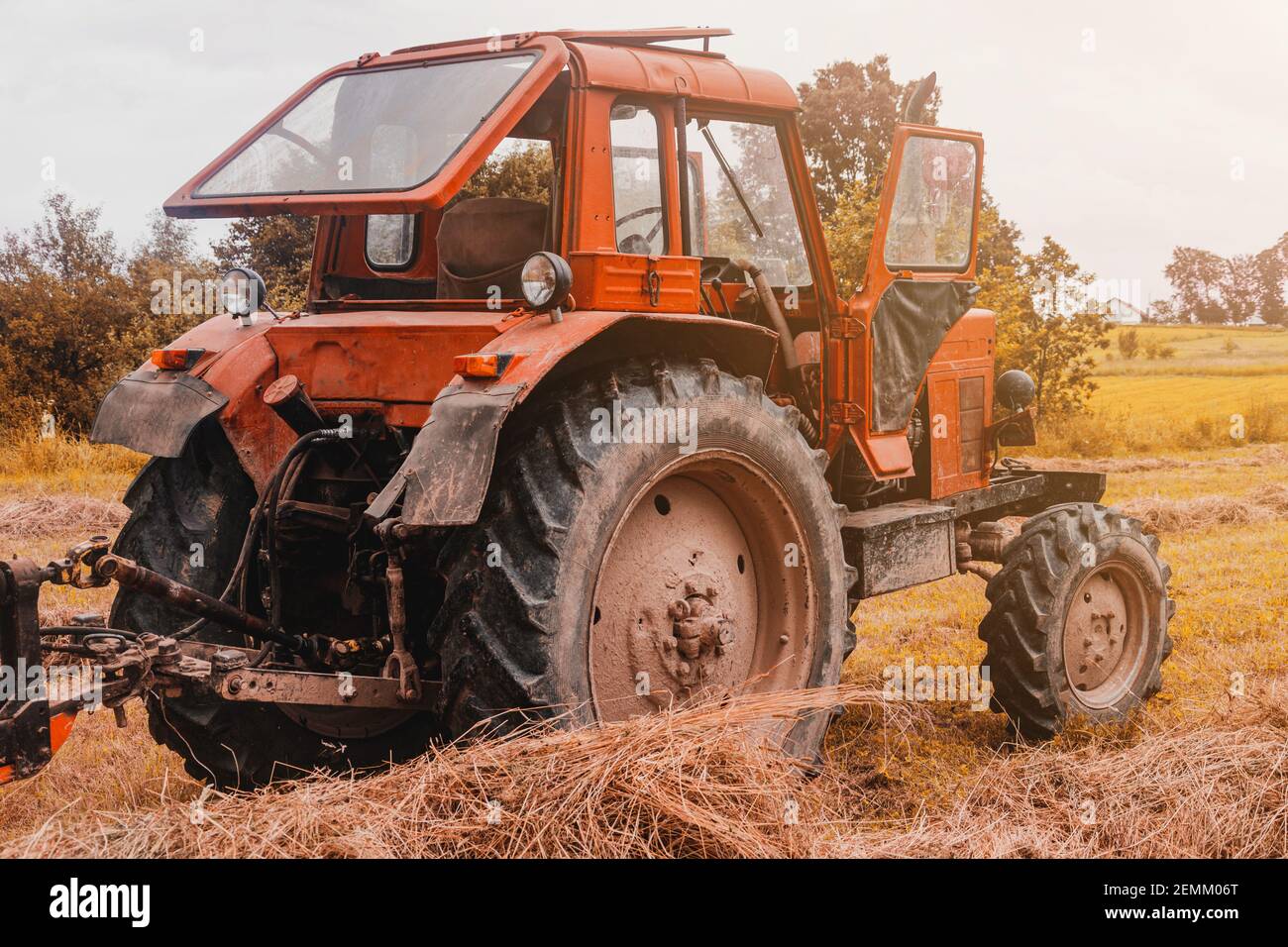 Vecchio trattore rosso nel campo durante la stagione di fieno, premendo fieno sulle balle, mietitura foraggio.2021 Foto Stock