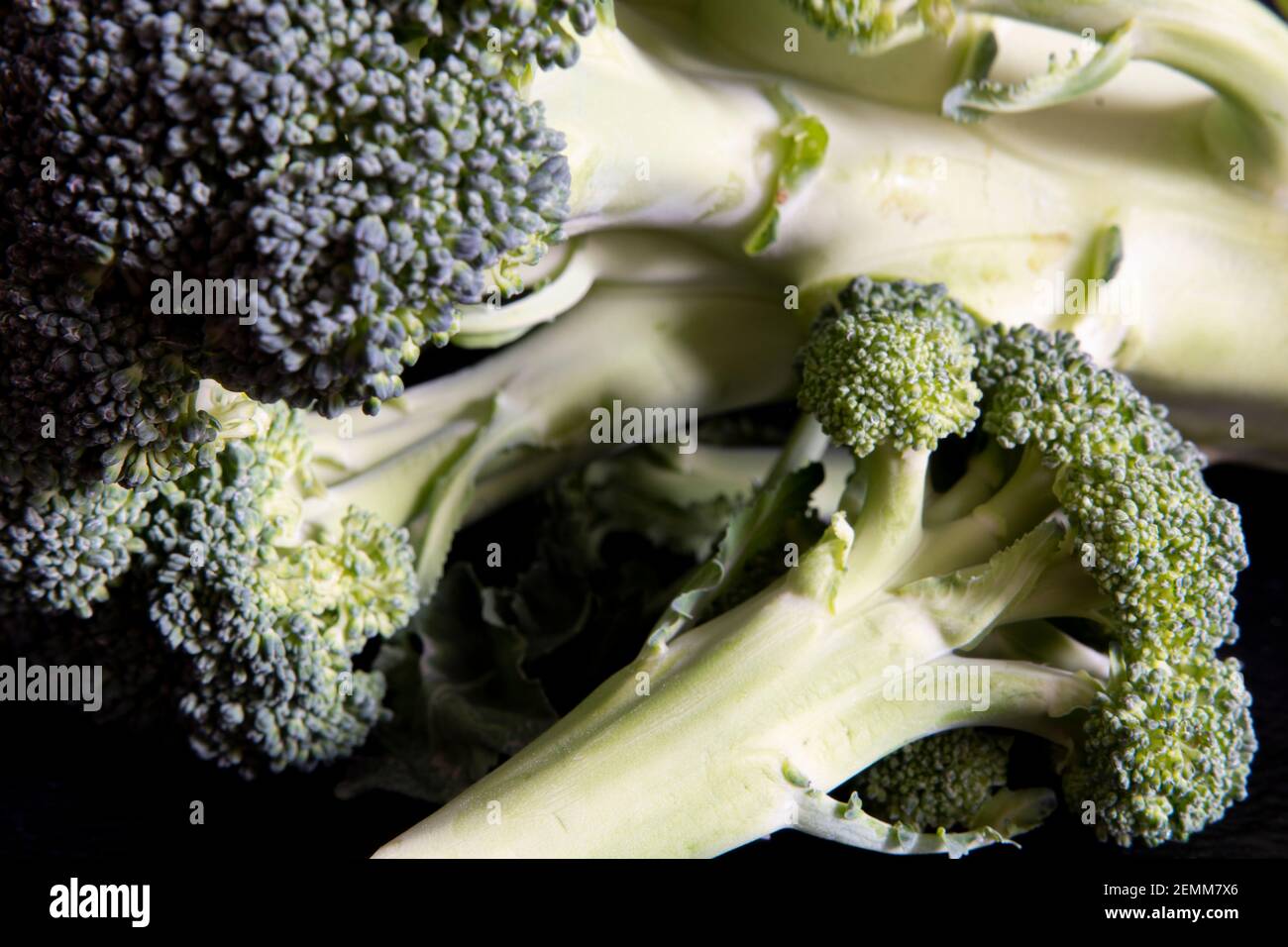 Primo piano di un broccoli Foto Stock