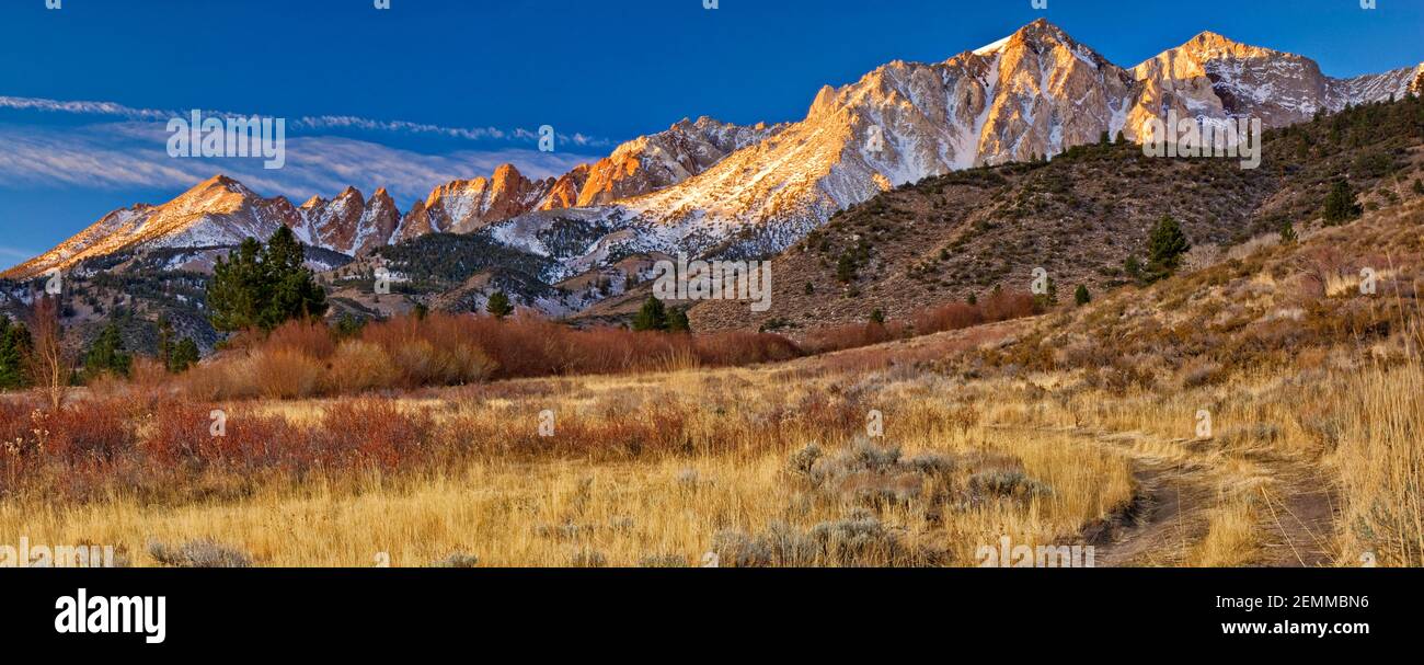 Piute Crags, Mt Emerson e Mt Humphreys, Sierra Nevada orientale, alba, Buttermilk Road nella zona della contea di Buttermilk vicino a Bishop, California, USA Foto Stock