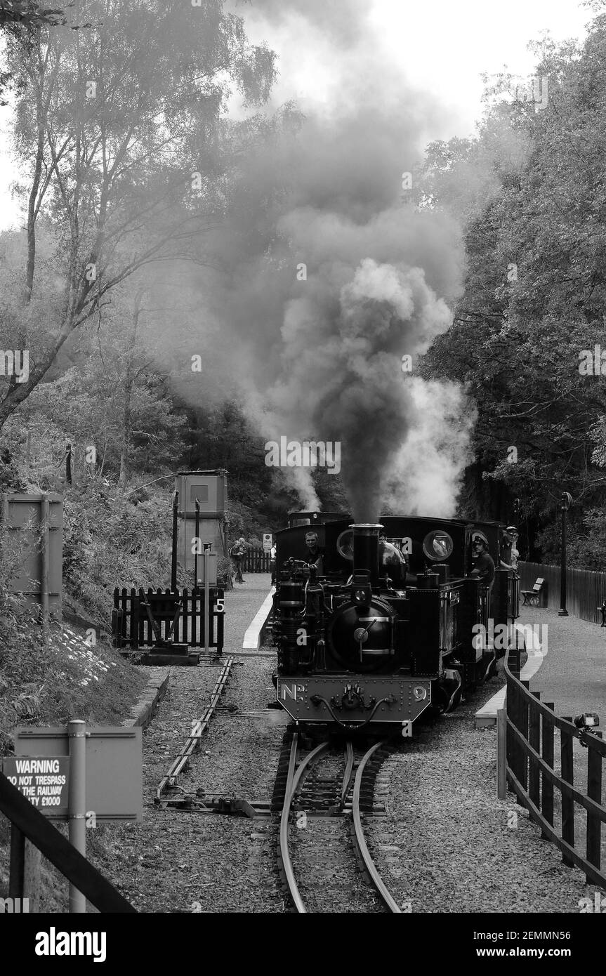 'Prince of Wales' e No. '8' lasciando Aberffrwd con un treno per il Ponte del Diavolo. 'Palmerston' è fuori sede nella piattaforma Down. Foto Stock